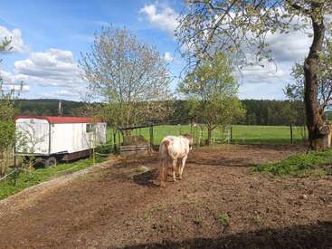 Un cheval se tient dans un pâturage clôturé et ensoleillé. Les arbres sont en fleurs. Une caravane blanche avec un toit rouge se trouve à proximité. L'arrière-plan est composé de champs verts et de forêts.
