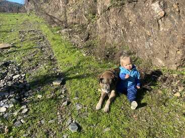 Un jeune enfant vêtu d'une tenue bleue est assis sur l'herbe verte, adossé à un grand chien brun, à côté d'une colline rocheuse sous un soleil radieux. Scène paisible en plein air.