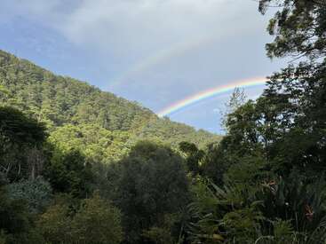 Uma encosta coberta por uma floresta verdejante sob um céu parcialmente nublado. Um arco-íris duplo e vibrante se estende acima das árvores, dando um toque mágico à paisagem natural e serena.