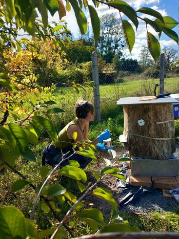 Eine Person mit Kopfhörern und blauen Handschuhen kniet an einem sonnigen Tag im Freien vor einem großen Baumstumpf mit Dekorationen, umgeben von grünem Laub.
