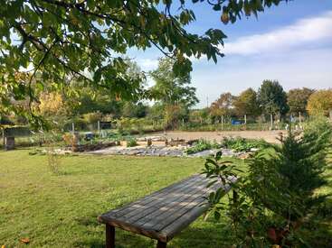 Eine friedliche Gartenszene mit Hochbeeten, grünem Gras, einer Holzbank und umliegenden Bäumen unter einem klaren blauen Himmel, der in sanftes Sonnenlicht getaucht ist.
