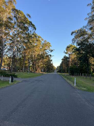 A quiet, empty road stretches ahead, flanked by tall trees and greenery on both sides. The clear blue sky above gives a peaceful, serene atmosphere.