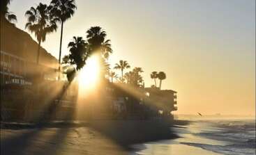 Golden sunlight streams through tall palm trees along a serene beach. Warm tones illuminate buildings, soft waves approach the shore, and a bird glides above water.