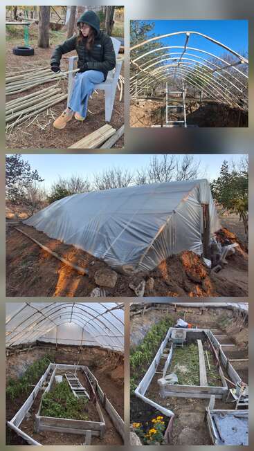 This collage shows the step-by-step construction of a greenhouse: preparing wood, assembling a frame, covering with plastic, and creating raised garden beds inside.