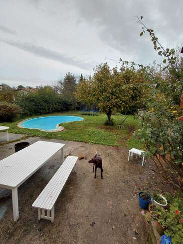 A cloudy day in a backyard with a swimming pool, green lawn, white outdoor table and bench, potted plants, trees, and a brown dog standing.