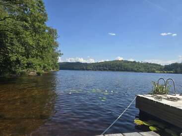 Une scène de lac paisible avec des eaux bleues claires, des arbres verts, des nénuphars flottants et un quai en bois avec une échelle, sous un ciel bleu ensoleillé.