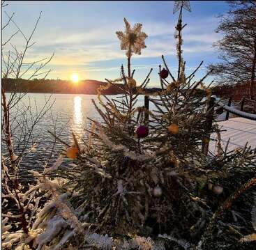 Un sapin de Noël décoré se dresse au bord d'un lac enneigé au coucher du soleil, avec des ornements étincelants, une étoile dorée et un paysage hivernal serein se reflétant dans l'eau.