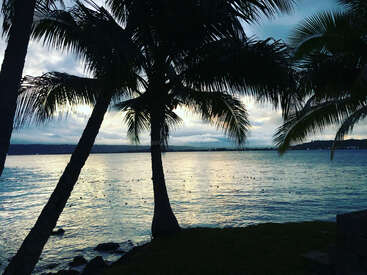 Das Bild zeigt eine ruhige tropische Szene mit Palmen, die sich vor einem strahlend blauen Himmel mit Wolken abzeichnen, mit Blick auf ein ruhiges Gewässer.