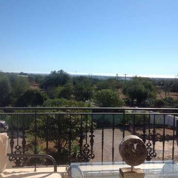 L'image représente un balcon serein avec une balustrade en métal noir, surplombant un jardin luxuriant et des arbres lointains sous un ciel bleu clair par une journée ensoleillée.