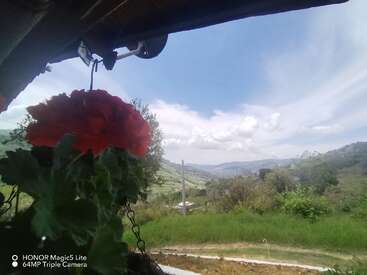 Une fleur d'un rouge éclatant se détache au premier plan, surplombant un paysage verdoyant et des collines. Le ciel est bleu, parsemé de nuages, offrant une vue sereine.