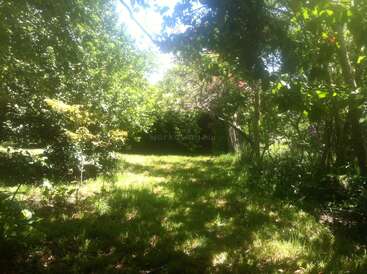 This image shows a sunlit garden area with lush green grass and dense trees. Bright sunlight filters through the foliage, creating a peaceful, inviting natural scene.