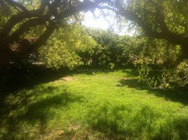 Sunlight filters through lush, leafy branches of large trees, casting cool shadows on a vibrant green grassy lawn, creating a peaceful, inviting, and serene garden scene.