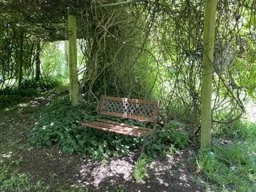 A wooden bench sits peacefully under a leafy arbor, surrounded by lush greenery, vines, and filtered sunlight, creating a tranquil shaded spot in the garden.