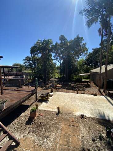 A sunny backyard features a wooden deck, scattered potted plants, a concrete slab, wheelbarrow, tall palm trees, and a shed, creating a tranquil outdoor atmosphere.