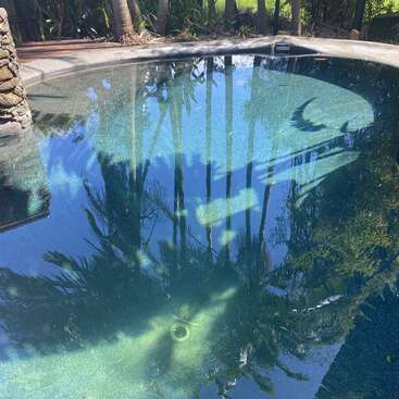 Clear swimming pool with reflections of tall palm trees and greenery creates an illusion of depth. Sunlight brightens the water’s surface, enhancing a tropical, serene atmosphere.