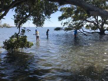 Das Bild zeigt drei Kinder, die im flachen Wasser waten, umgeben von Bäumen und Laub, mit einem klaren blauen Himmel im Hintergrund an einem sonnigen Tag.