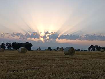 La imagen muestra un campo dorado con grandes pacas de heno esparcidas, árboles en silueta y espectaculares rayos de sol que atraviesan las nubes en una hermosa puesta de sol.