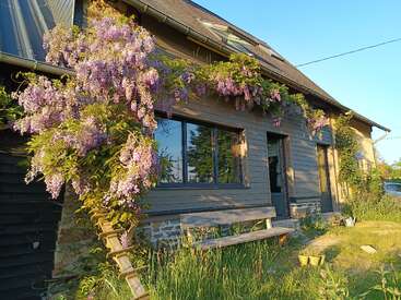 Una casa rústica de madera con cimientos de piedra, cubierta de glicinas moradas en flor. En el exterior hay un banco de madera bañado por la cálida luz del atardecer.