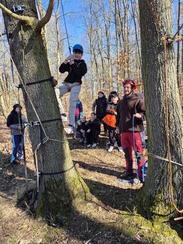 A group of people in a forest watches a boy climbing a tree with ropes and a helmet, guided by an adult instructor wearing red pants.