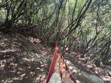 A person relaxes in a hammock, surrounded by dense, green forest. Sunlight filters through the thick branches, creating a peaceful, natural outdoor atmosphere.