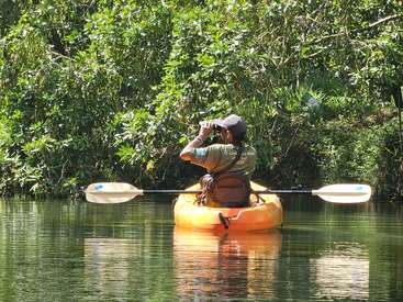 A person in a green shirt sits in an orange kayak on calm water, using binoculars to observe nature, surrounded by lush green foliage and trees.