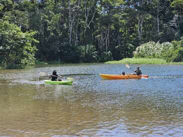Two people are kayaking on a calm river surrounded by lush green trees and dense forest. The sun is shining, creating a peaceful, outdoor adventure scene.