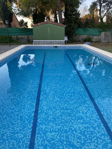 Ein klarer blauer Pool mit Mosaikfliesen, zwei Schwimmbahnen, umgeben von Grün und Bäumen, ein kleiner grüner Schuppen und eine ruhige Umgebung im Freien.