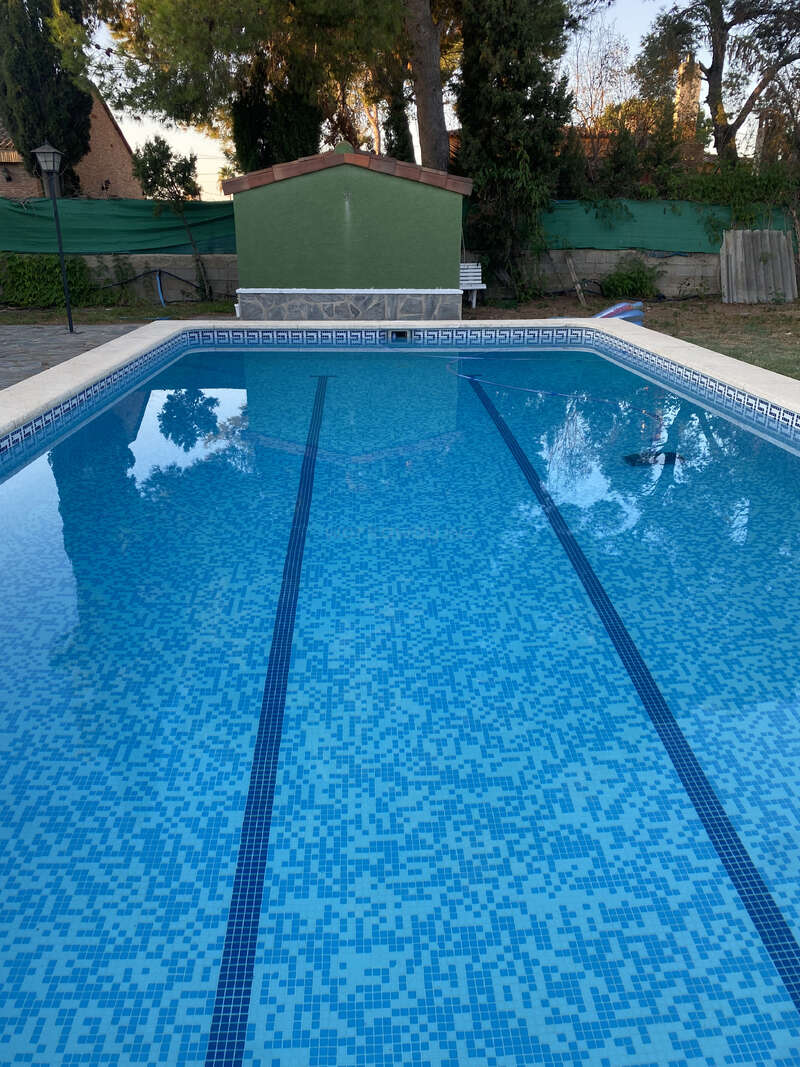 Une piscine d'un bleu limpide avec des carreaux de mosaïque, deux couloirs de nage, entourée de verdure et d'arbres, un petit abri vert et un cadre extérieur paisible.