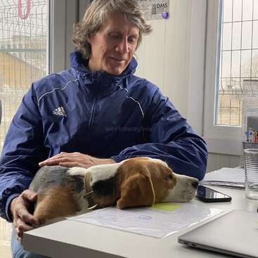 L'image montre un homme assis à un bureau, un chien sur les genoux, vêtu d'une veste Adidas bleue, devant une fenêtre avec un poster d'ours sur le mur.