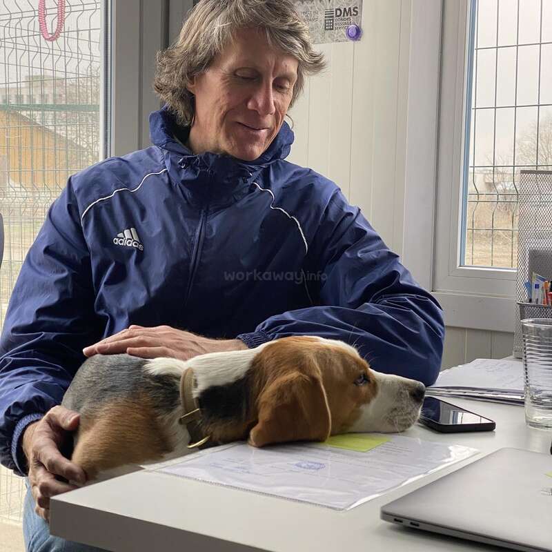 The image shows a man sitting at a desk with a dog on his lap, wearing a blue Adidas jacket, in front of a window with a poster of a bear on the wall.