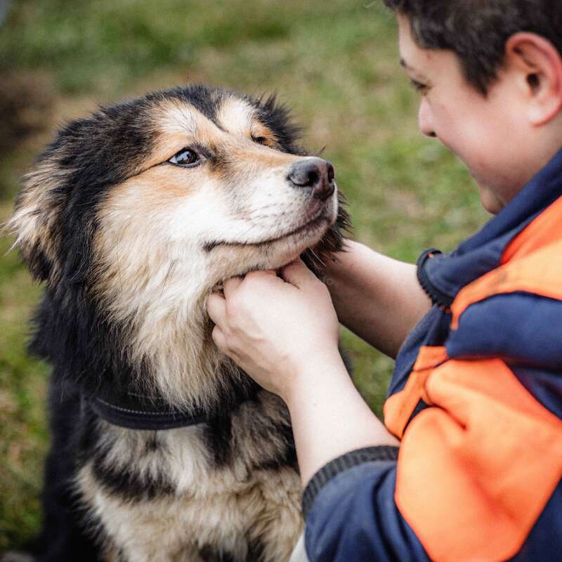 Uma criança vestindo uma jaqueta laranja e azul-marinho acaricia gentilmente um cachorro fofinho ao ar livre. O cachorro parece contente e relaxado, curtindo a carinho e a companhia.