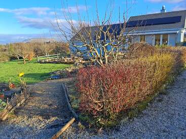 Un chemin de gravier serpente à travers un jardin aux haies taillées et aux arbres dénudés. Une maison moderne équipée de panneaux solaires se dresse sous un ciel d'un bleu éclatant.