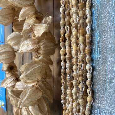 Das Bild zeigt getrocknete, laternenartige Physalis-Schalen, die neben Strängen von kleinen, natürlichen Muscheln hängen. Der Hintergrund besteht aus verwittertem Holz und einer rustikalen blauen Oberfläche.