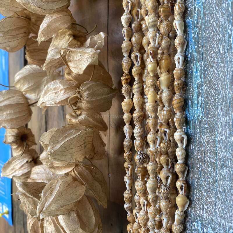 Das Bild zeigt getrocknete, laternenartige Physalis-Schalen, die neben Strängen von kleinen, natürlichen Muscheln hängen. Der Hintergrund besteht aus verwittertem Holz und einer rustikalen blauen Oberfläche.