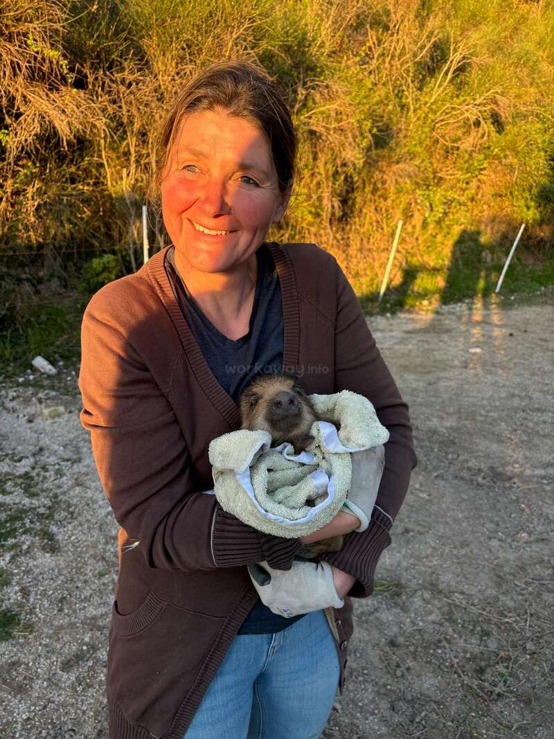 Uma mulher sorridente está ao ar livre sob a luz quente do sol, segurando um pequeno animal enrolado em uma toalha. Ela parece feliz e carinhosa, com vegetação ao fundo.