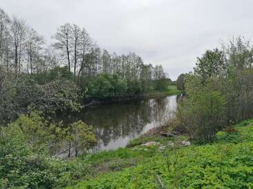 A calm river winds through a lush, green landscape surrounded by dense trees and shrubs under a cloudy sky, reflecting nature’s tranquil beauty and serene environment.