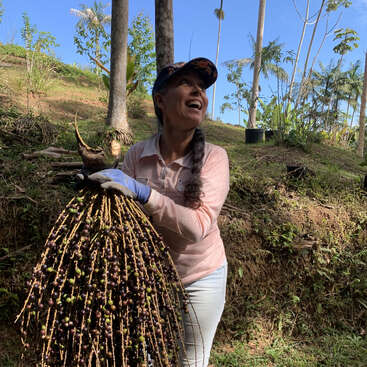 Eine Frau in Outdoor-Kleidung lächelt, während sie einen großen Strauß frisch geernteter Acai-Beeren hält. Sie steht auf einer Anhöhe, umgeben von tropischen Bäumen und Sonnenlicht.