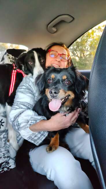 A smiling woman with red glasses sits in the car's back seat, holding two happy dogs, one black with tan markings and one black-and-white.