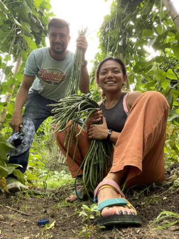 Un hombre y una mujer cosechan felices judías verdes largas en un exuberante jardín. Sus expresiones muestran alegría y logro, rodeados de follaje y plantas verdes y sanas.