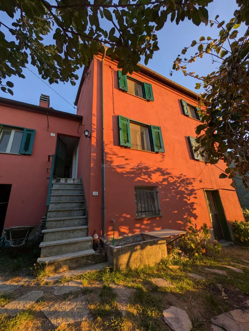 A vibrant orange two-story house with green window shutters, an external staircase, lush greenery, and tree branches casting shadows in the golden sunlight of evening.