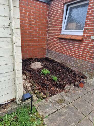 Das Bild zeigt ein kleines Beet mit Mulch und ein paar grünen Pflanzen, umgeben von einer Backsteinmauer, einem Fenster, einem weißen Schuppen, Pflastersteinen und einer Solarlampe.