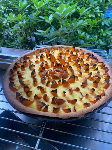 Eine frisch gebackene Obsttorte mit goldenen, leicht karamellisierten Pflaumenscheiben kühlt auf einem Gitter neben dem Fenster ab, umgeben von üppigem Grün draußen.