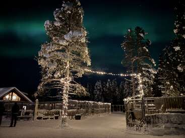 Snow-covered trees adorned with twinkling lights stand beneath a dark sky illuminated by the green glow of the Northern Lights; cozy winter setting, peaceful atmosphere.