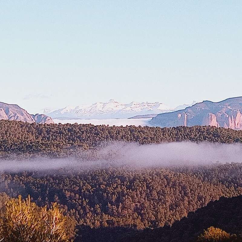 L'image représente une chaîne de montagnes aux sommets enneigés, entourée d'une végétation luxuriante et d'une couche de nuages brumeux, le tout sur fond de ciel bleu clair.