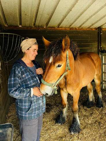 A woman in a plaid jacket and headscarf stands in a barn, smiling warmly at a large brown horse with a green halter beside her.