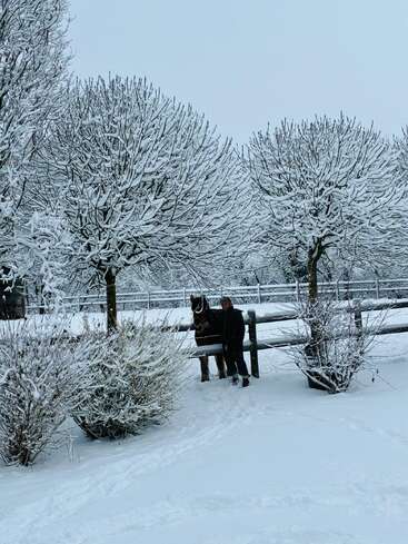 Jemand steht neben einem Pferd in der Nähe eines Holzzauns, umgeben von schneebedeckten Bäumen und Büschen, was eine friedliche Winterszene mit einer ruhigen Atmosphäre schafft.