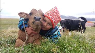 Un jeune enfant coiffé d'un chapeau coloré enlace un petit veau dans un champ herbeux, tandis que deux chiens jouent à proximité. Des montagnes et un ciel nuageux sont visibles derrière.