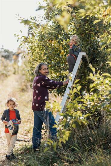 A father and two children are apple picking outdoors. One child sits on a ladder, eating an apple, while the other stands holding a bag.