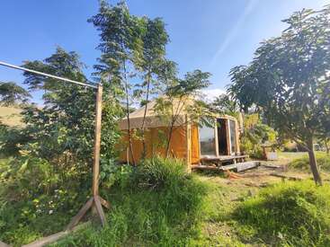 Una tienda de campaña redonda y amarilla se encuentra rodeada de frondosos árboles y plantas, bajo un cielo azul brillante. Unos escalones de madera conducen a su entrada.