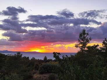 Una vibrante puesta de sol pinta el cielo con vivos tonos amarillos, naranjas y rosados. Las siluetas de los árboles y las montañas lejanas se recortan pacíficamente junto al mar en calma.